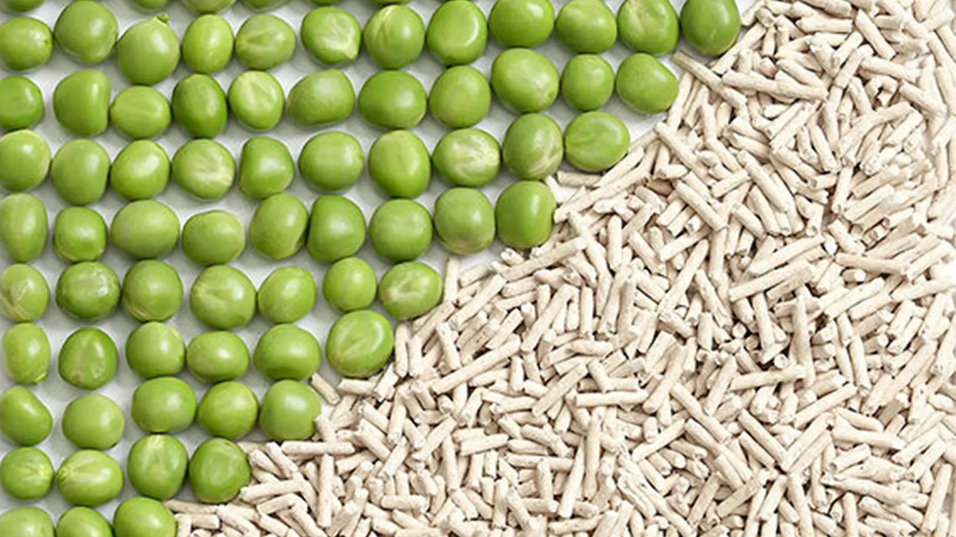 private label wholesale premium tofu cat litter manufacturer